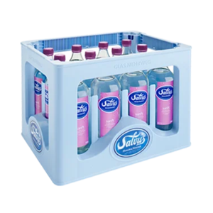 Salvus Sanft 12x0,75 Liter Glas