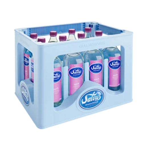 Salvus Sanft 12x0,75 Liter Glas