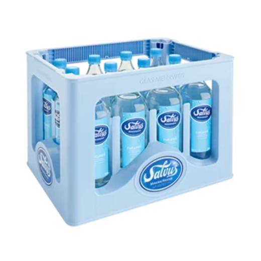 Salvus Naturell 12x0,75 Liter Glas