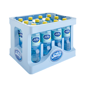 Salvus Lemon 12x1,0 Liter PET