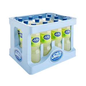Salvus Sport 12x1,0 Liter PET