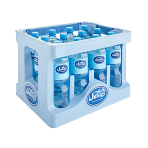Salvus Naturell 12x1,0 Liter PET