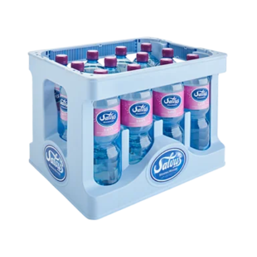 Salvus Sanft 12x1,0 Liter PET