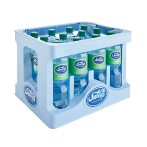 Salvus Medium 12x1,0 Liter PET