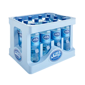Salvus Classic 12x1,0 Liter PET