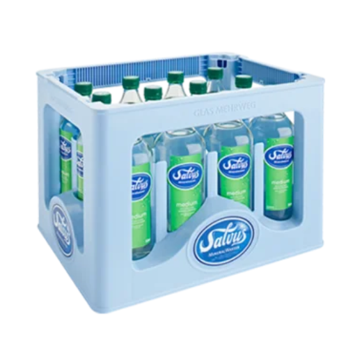 Salvus Medium 12x0,75 Liter Glas
