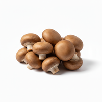 Champignons braun 250gr