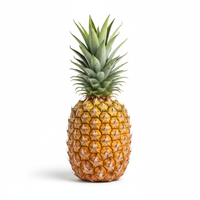Ananas Stück
