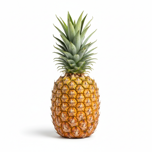 Ananas Stück