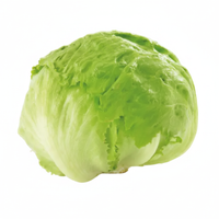 Eisbergsalat Stück