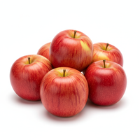 Äpfel Delbarestivale 1 Kg