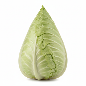 Spitzkohl Stück