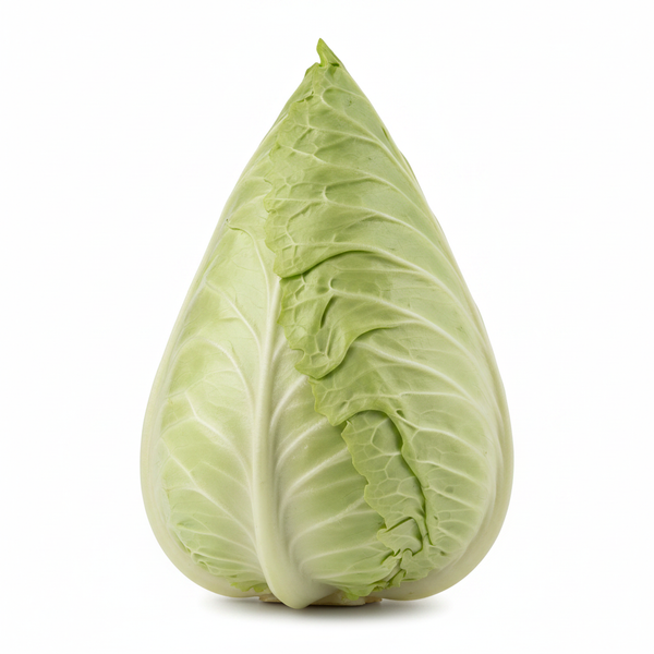 Spitzkohl Stück