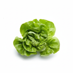 Kopfsalat grün Stück
