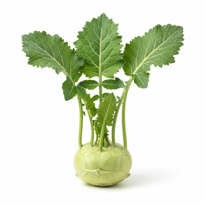 Kohlrabi Stück